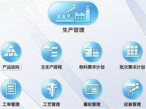 軟件開發(fā)中六西格瑪管理咨詢過程頭腦風(fēng)暴法的實施